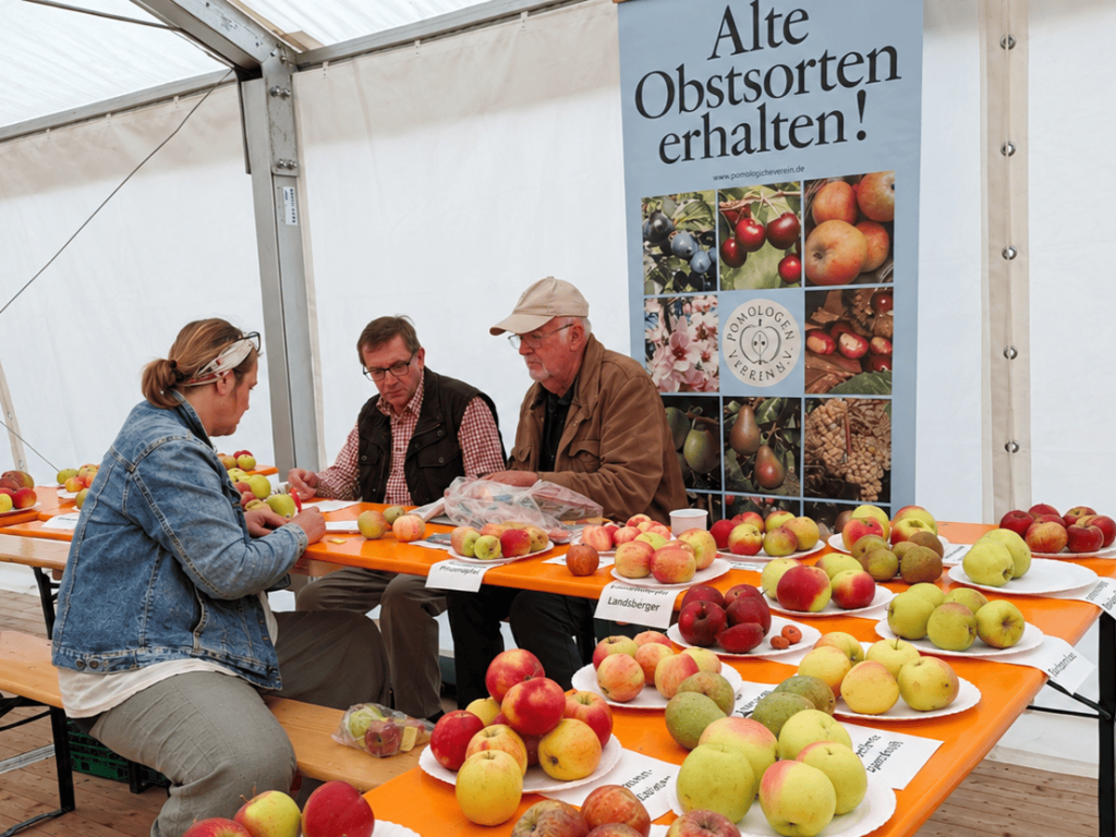Apfelsortenbestimmung